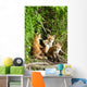 Red Fox Kits Playing Close To Their Den During Summer In Alaska Wall Mural