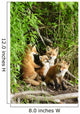 Red Fox Kits Playing Close To Their Den During Summer In Alaska Wall Mural