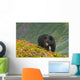 A Black Bear Foraging For Berries On A Hillside Wall Mural
