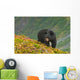 A Black Bear Foraging For Berries On A Hillside Wall Mural