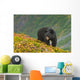 A Black Bear Foraging For Berries On A Hillside Wall Mural