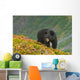 A Black Bear Foraging For Berries On A Hillside Wall Mural