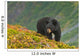 A Black Bear Foraging For Berries On A Hillside Wall Mural