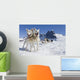 Sled Dog Team Standing Wall Mural