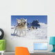 Sled Dog Team Standing Wall Mural