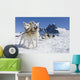 Sled Dog Team Standing Wall Mural