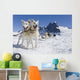 Sled Dog Team Standing Wall Mural