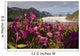Dwarf Fireweed Growing Wall Mural