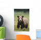 Close Up Of A Brown Bear Standing In A Grassy Field Wall Mural