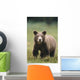 Close Up Of A Brown Bear Standing In A Grassy Field Wall Mural