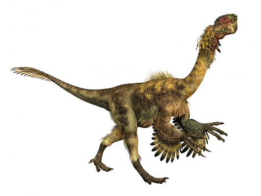 Citipati Dinosaur Wall Decal