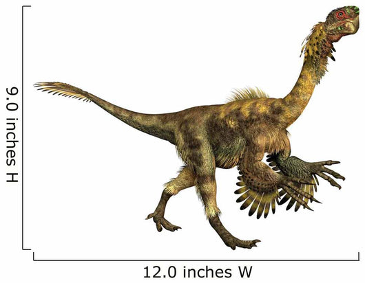 Citipati Dinosaur Wall Decal