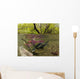 Underwater View Of Mature Sockeye Salmon On Spawning Grounds Wall Mural