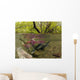 Underwater View Of Mature Sockeye Salmon On Spawning Grounds Wall Mural