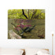 Underwater View Of Mature Sockeye Salmon On Spawning Grounds Wall Mural