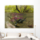 Underwater View Of Mature Sockeye Salmon On Spawning Grounds Wall Mural