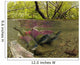 Underwater View Of Mature Sockeye Salmon On Spawning Grounds Wall Mural