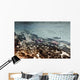 Dolly Varden Char With Coho Salmon Schooling Wall Mural