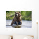 Grizzly Chasing Salmon In River During Summer Months In Alaska Wall Mural