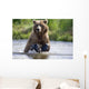 Grizzly Chasing Salmon In River During Summer Months In Alaska Wall Mural