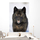 Close-Up Archipelago Wolf Wall Mural
