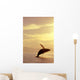 Humpback Whale Breaching In Inside Passage Se Ak Summer Backlit Wall Mural