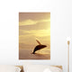 Humpback Whale Breaching In Inside Passage Se Ak Summer Backlit Wall Mural