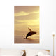 Humpback Whale Breaching In Inside Passage Se Ak Summer Backlit Wall Mural
