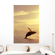 Humpback Whale Breaching In Inside Passage Se Ak Summer Backlit Wall Mural