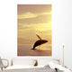 Humpback Whale Breaching In Inside Passage Se Ak Summer Backlit Wall Mural