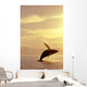 Humpback Whale Breaching In Inside Passage Se Ak Summer Backlit Wall Mural
