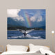 Humpback Whale Submerging Showing Fluke With Rainbow Wall Mural