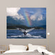 Humpback Whale Submerging Showing Fluke With Rainbow Wall Mural