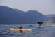 Man Sea Kayaking Wall Mural