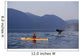 Man Sea Kayaking Wall Mural