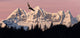 Bald Eagle Wall Mural