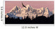 Bald Eagle Wall Mural