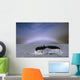 Humpback Whale Fluke Wall Mural