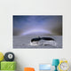 Humpback Whale Fluke Wall Mural