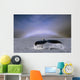 Humpback Whale Fluke Wall Mural