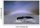 Humpback Whale Fluke Wall Mural