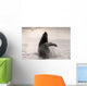 Humpback Whale Breaching With Coast Mountains Wall Mural