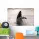 Humpback Whale Breaching With Coast Mountains Wall Mural