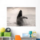 Humpback Whale Breaching With Coast Mountains Wall Mural