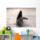 Humpback Whale Breaching With Coast Mountains Wall Mural