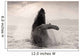 Humpback Whale Breaching With Coast Mountains Wall Mural