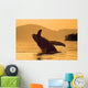 Humpback Whale Breaching At Sunset Wall Mural