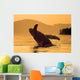 Humpback Whale Breaching At Sunset Wall Mural