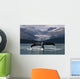 Composite Humpback Whale Shows Fluke Wall Mural