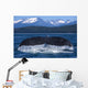 A Humpback Whale Lifts Its Flukes Wall Mural